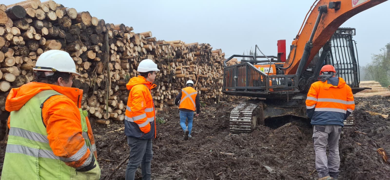 Operaciones forestales CONAF y conformidad en terreno